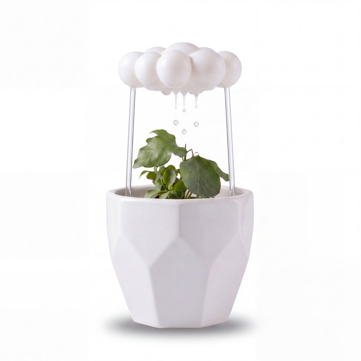 Driftcloud Rain Cloud Plant Waterer